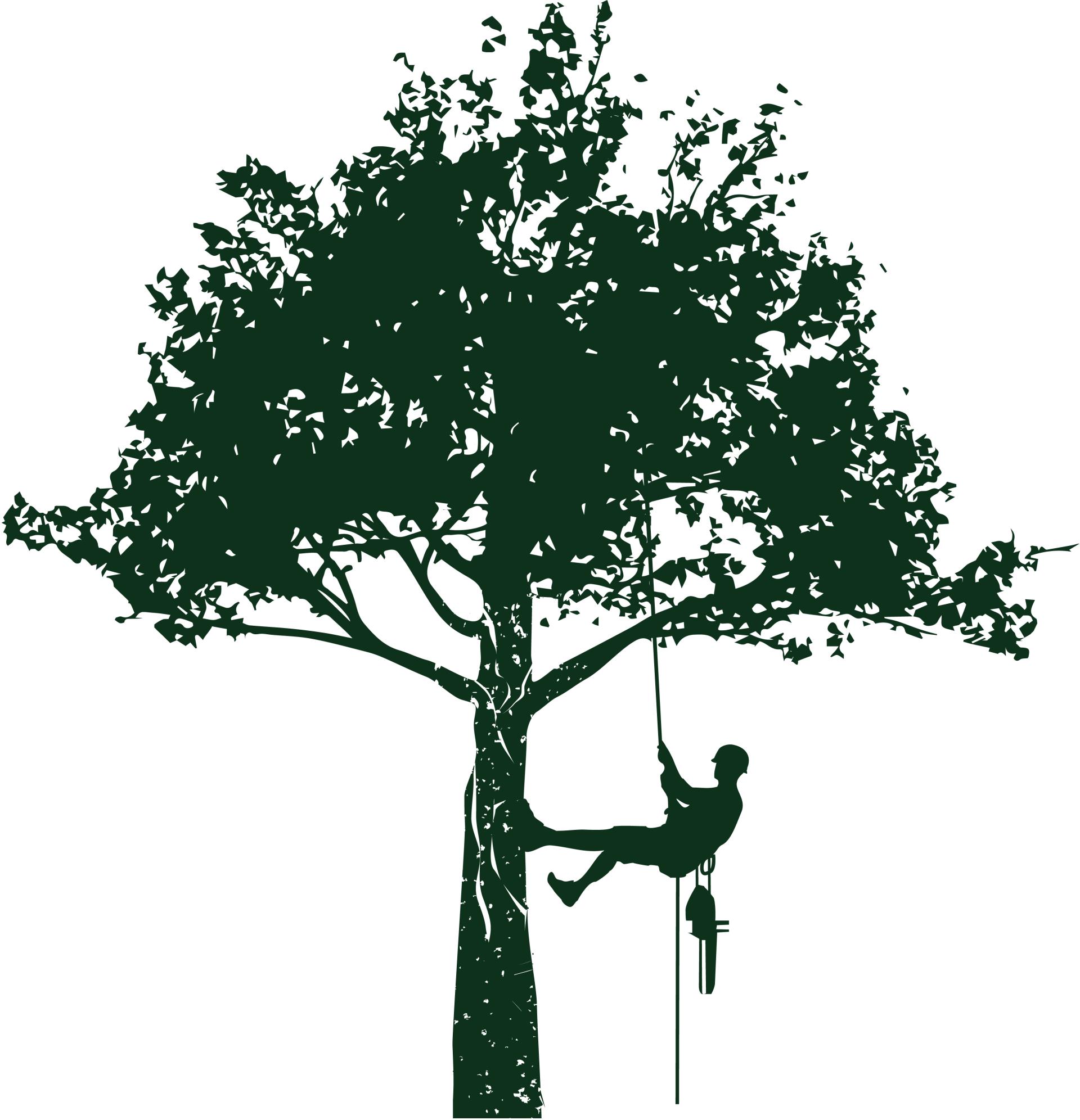 Vector illustration of a man climbing a tree